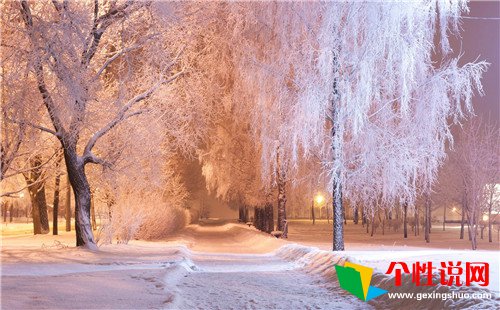 红外线计米器_风雪计牌器_风雪记牌器