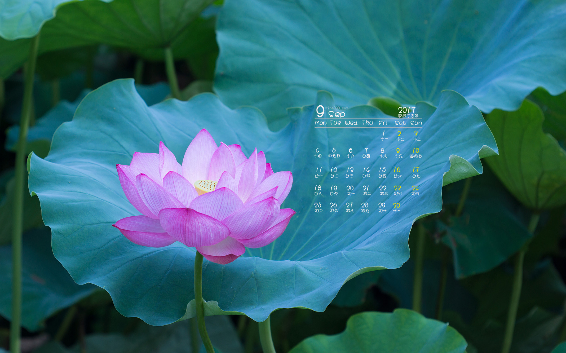 日历表八月_8月的月历_七月八月日历
