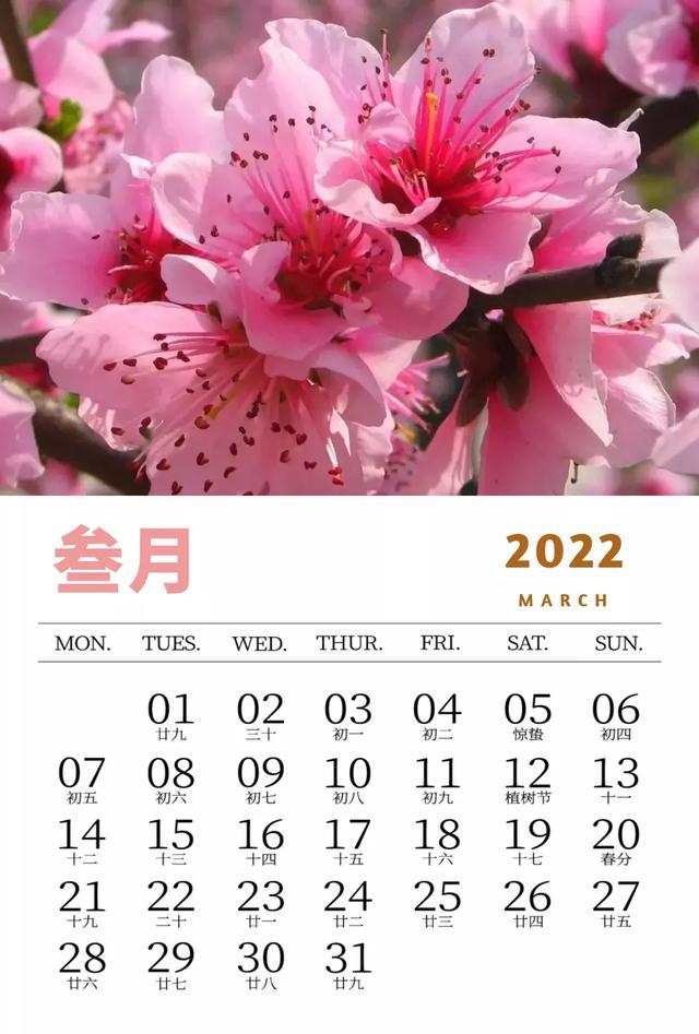月年2023年_2022年3月17日_月日年还是日月年