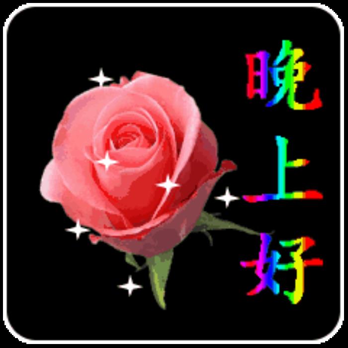 亚亚图片_可可亚_可可利亚