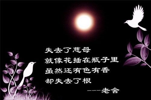 女武神的餐桌角色大全_女武神的餐桌是什么游戏_女武神的餐桌