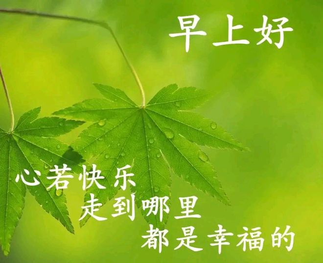 游戏手机_手机游戏希望永远_官方希望手游平台