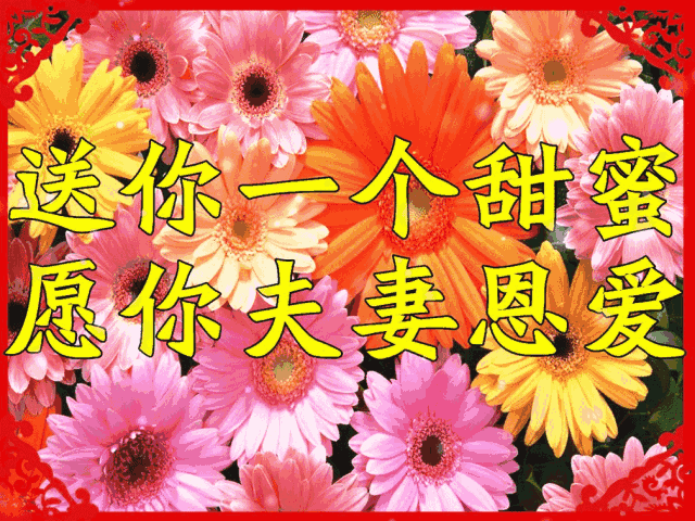 11月1日是什么日子_月日是啥意思_日和月是