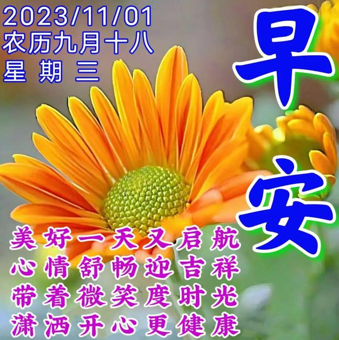11月1日是什么日子_月日是啥意思_日和月是