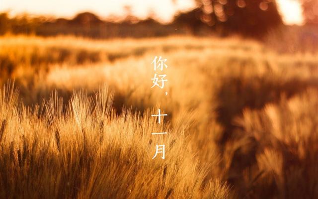 日和月是_11月1日是什么日子_月日是啥意思