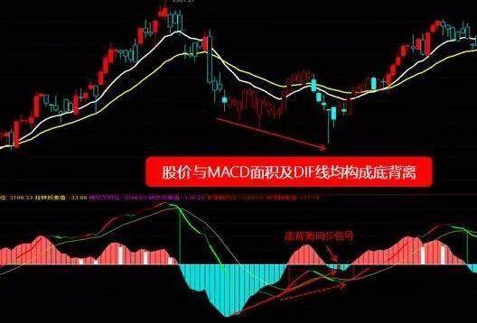 w底形态图解_形态理论中w底形态的特征有_w底形态分析