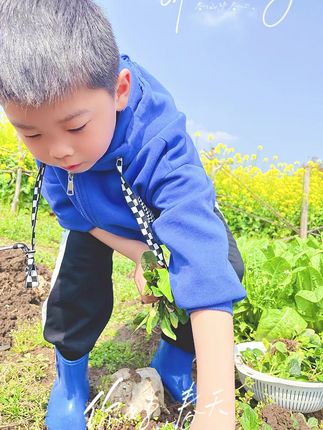 快来体验种植手机游戏，享受田园生活的乐趣与成就感