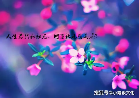 初八哪里赶集_初八是什么日子_四月初八