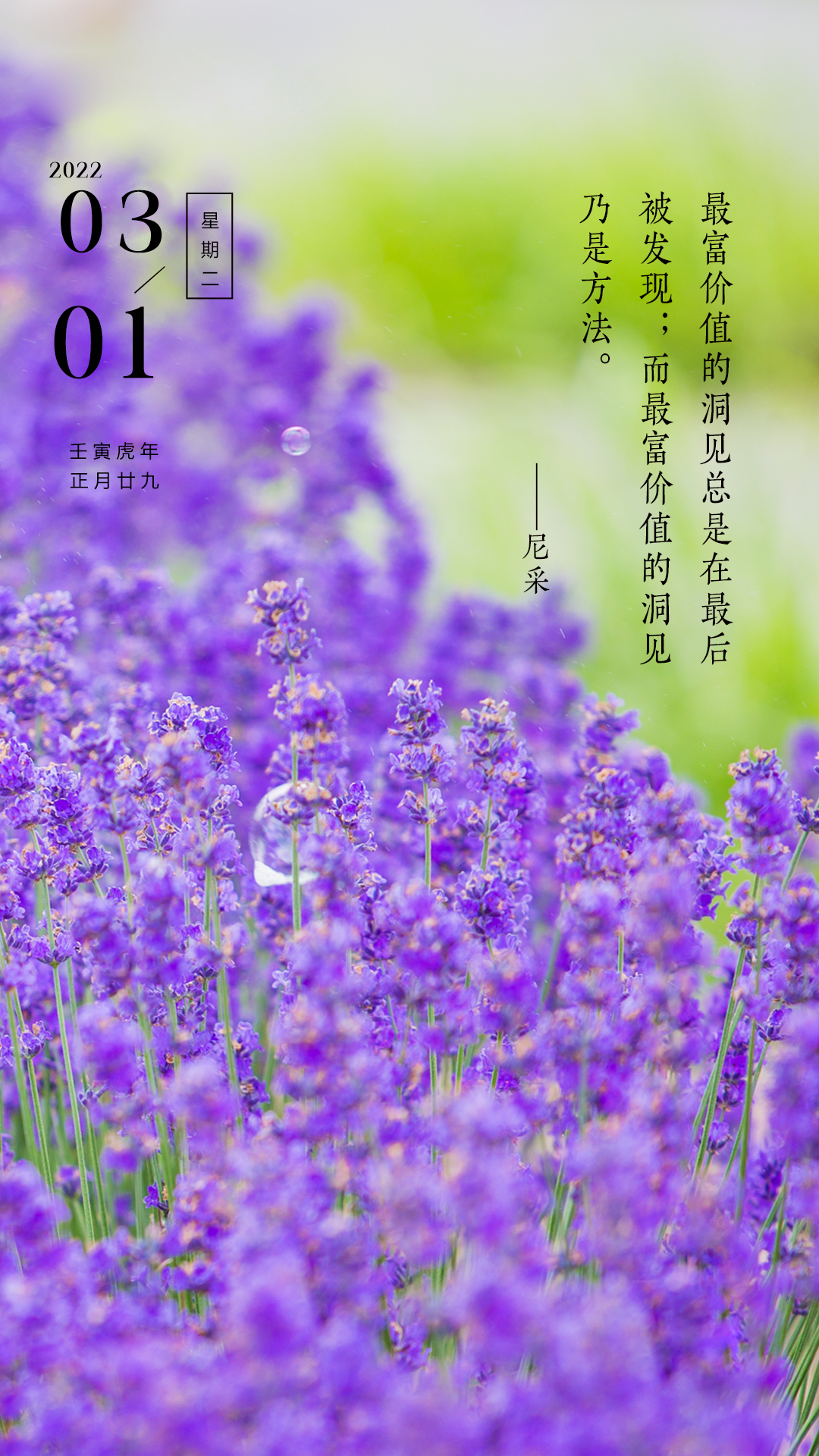 2月-二月，神秘温柔的季节，充满希望与浪漫的月份