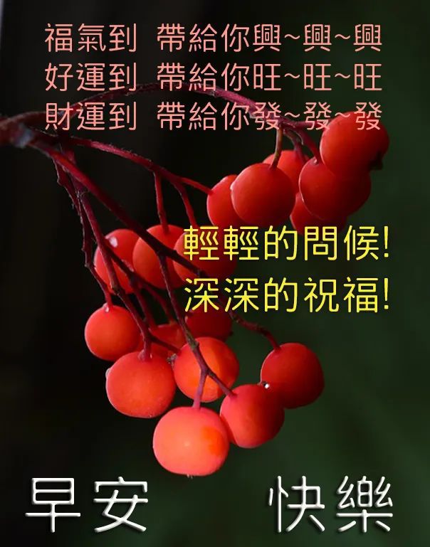 菲布理头像_菲布理为什么怕炮姐_菲布理