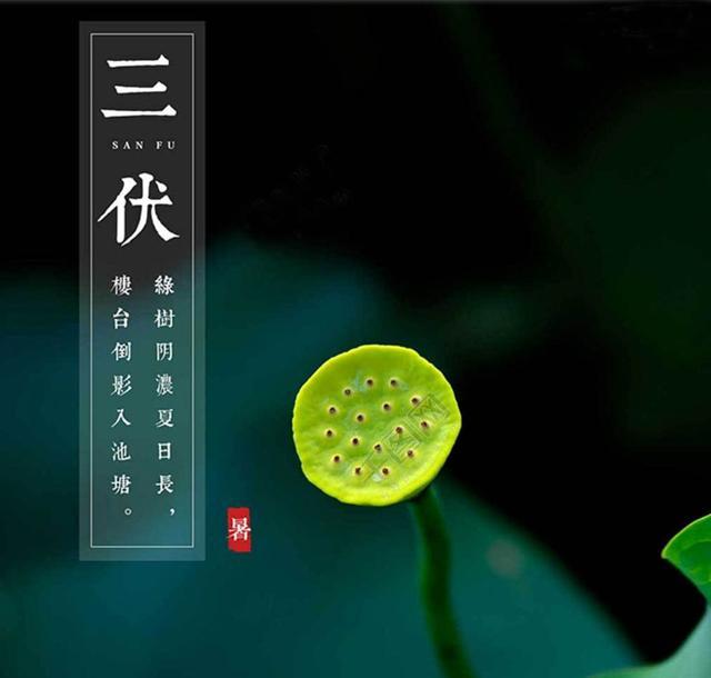 显示三伏的日历_三伏的日期是怎么确定的_三伏日期