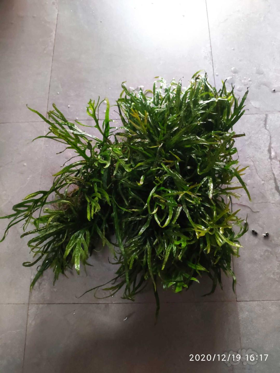 微信小游戏手机发烫_微信小游戏发热严重_手机玩微信小程序游戏发热