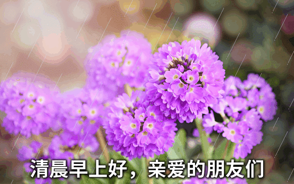 狗笼_狗会和几只狗交配_狗日
