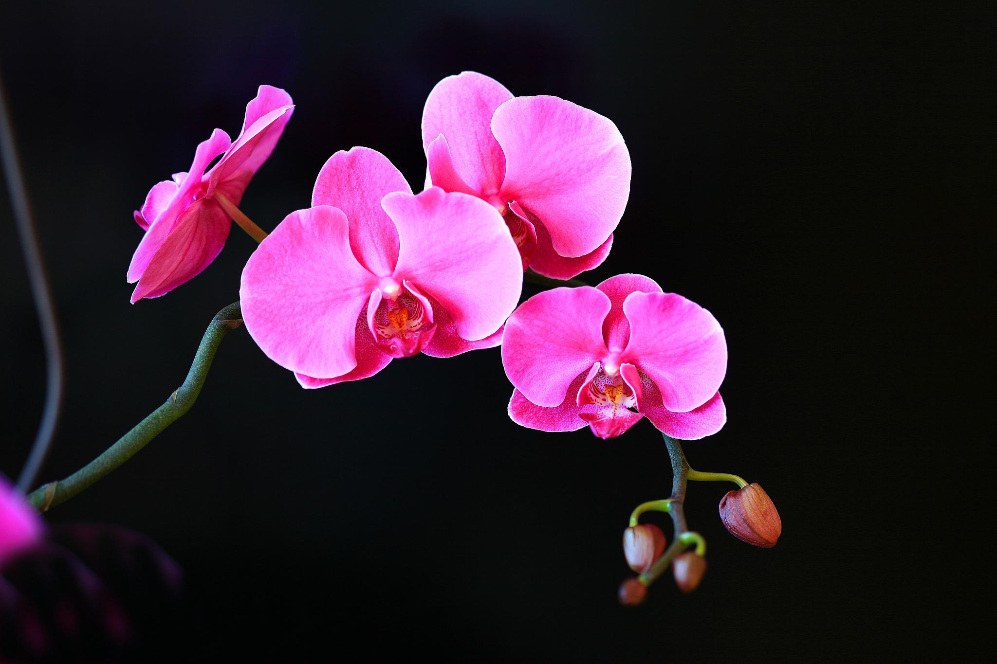 椎名篝_椎名篝_椎名篝