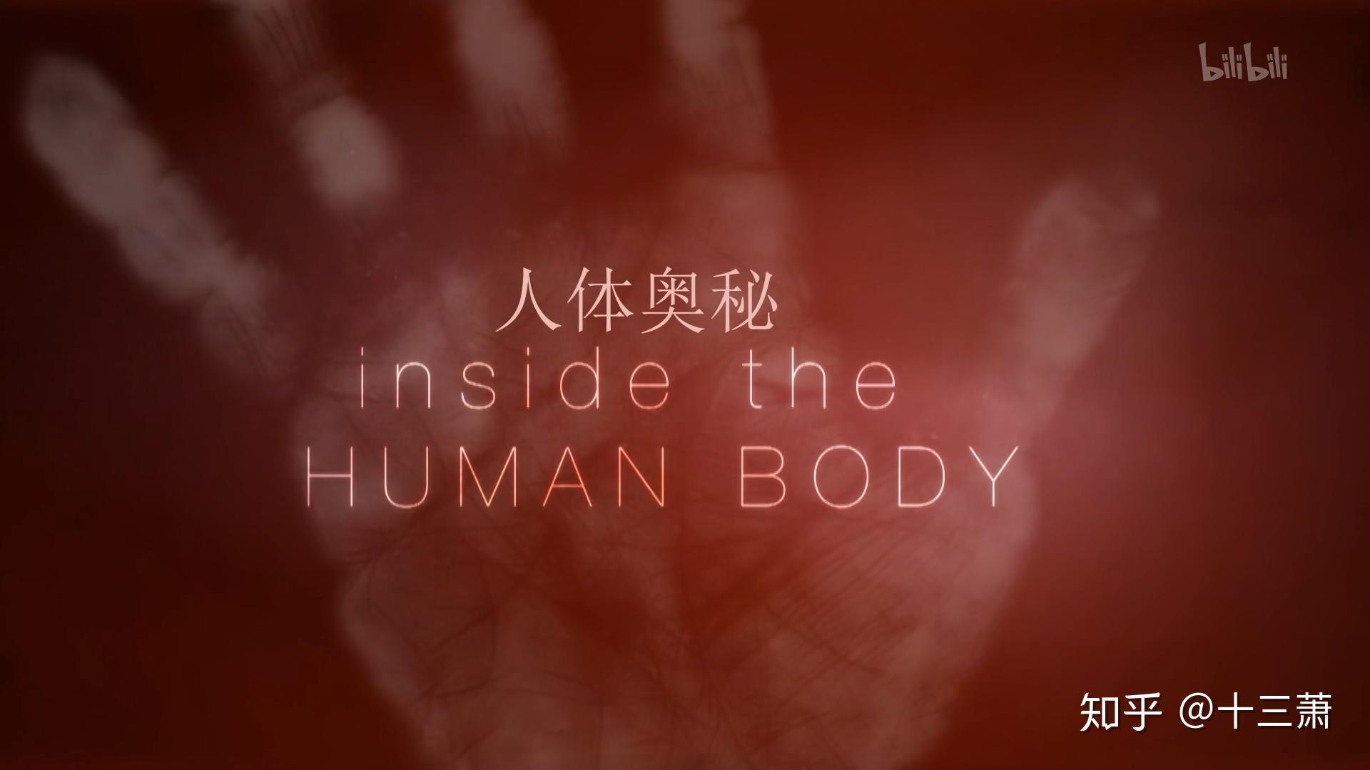 时间网站_网站时间和电脑时间不一致_网站时间回溯