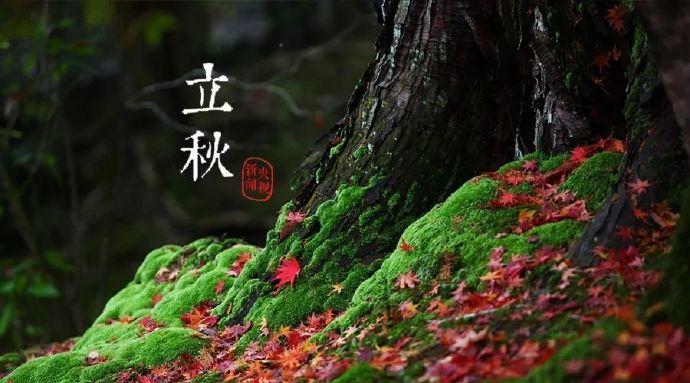移徙读音是什么_移徙是什么意思_何为移徙