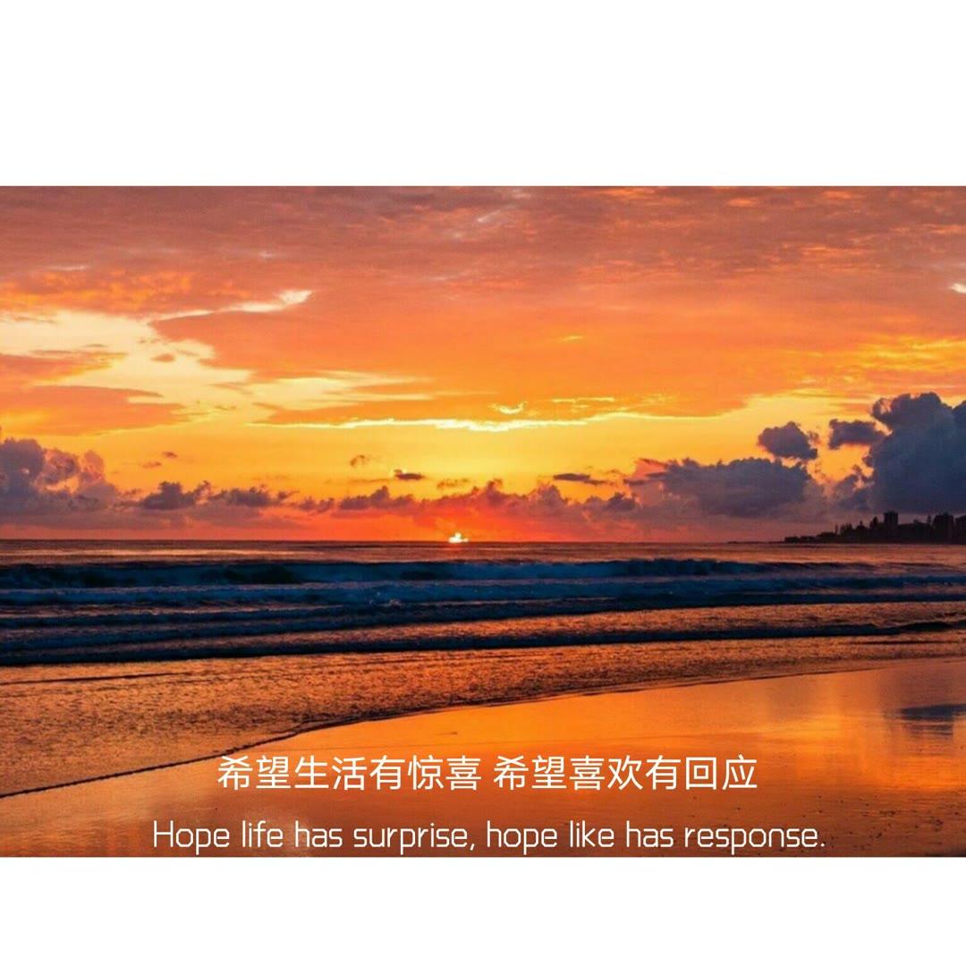 手语翻译在线查询_手语翻译器_手语翻译官
