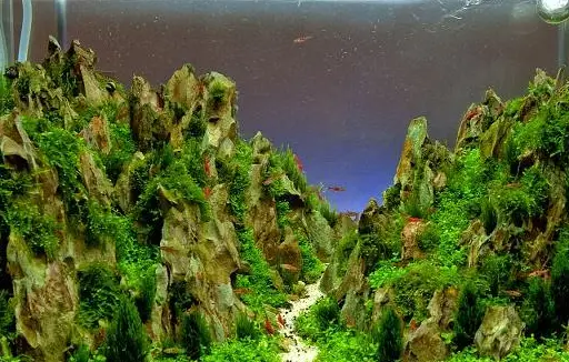 怎样用定海神针清屏_定海神针清屏专用超长复制_定海神针清屏专用