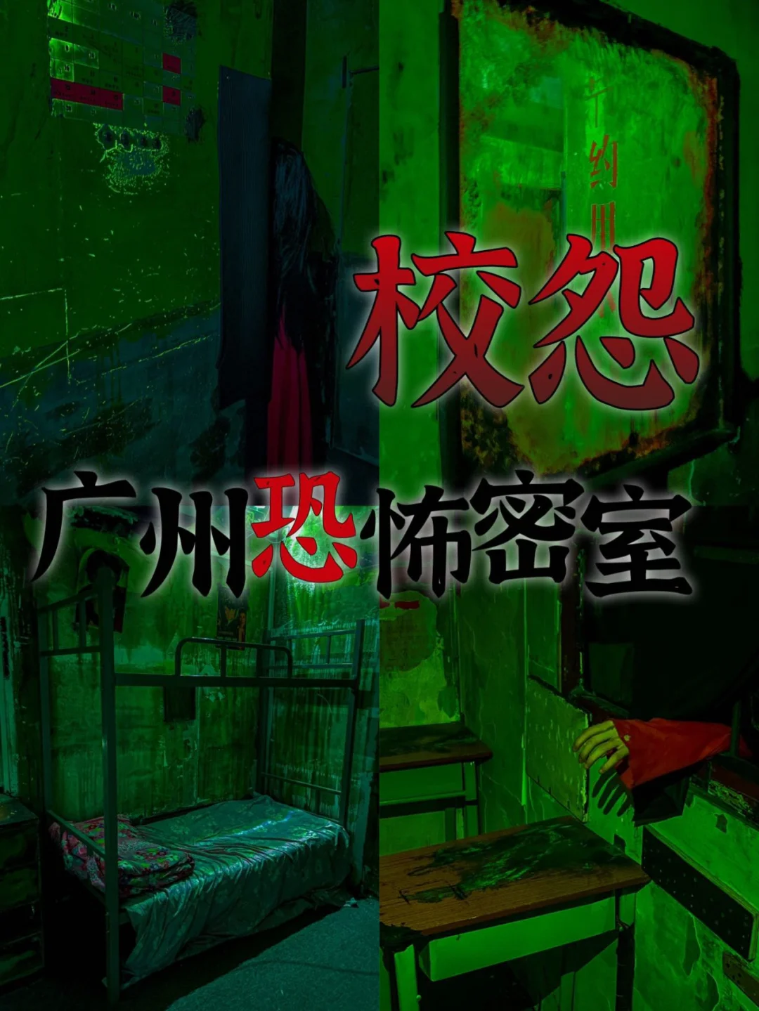 胆小鬼电视剧2021_电视剧胆小鬼_电视胆小鬼剧情