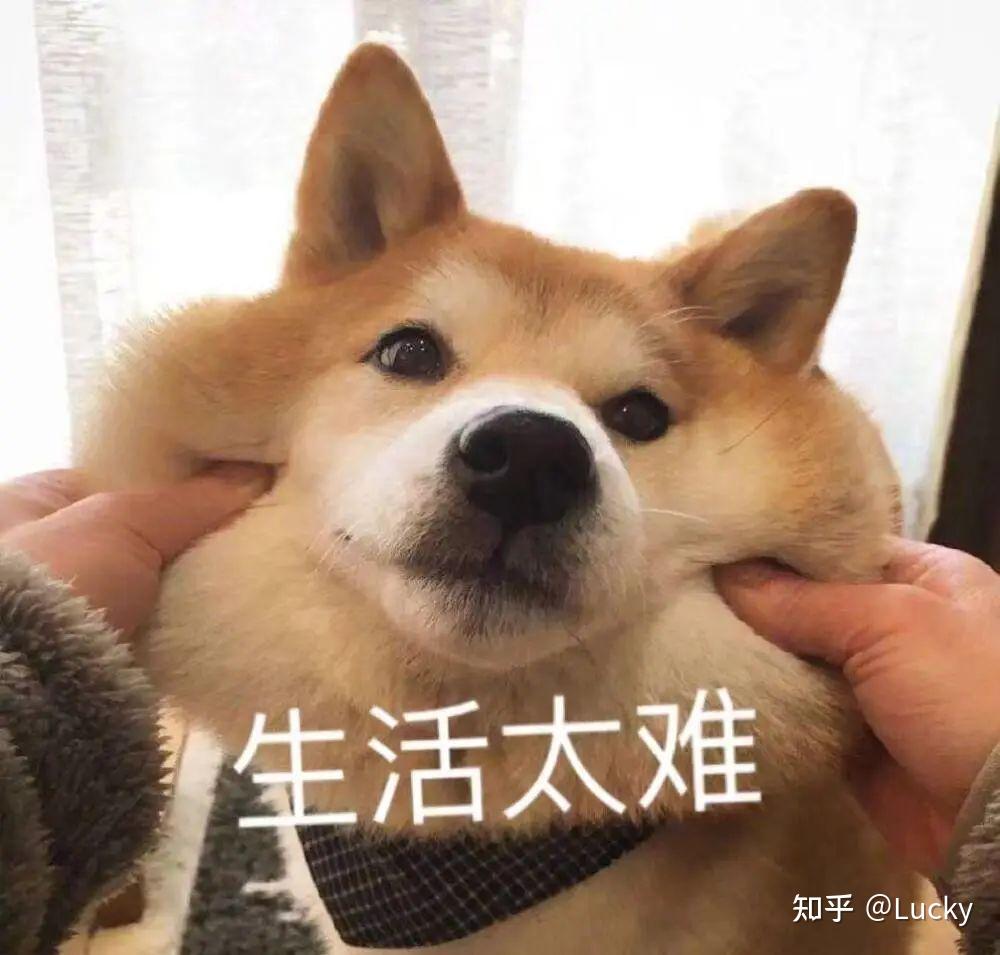 网页版夸克网盘怎么下载文件_网页版夸克网址_夸克网页版