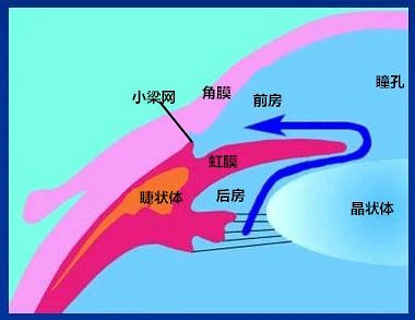 祸害手机游戏怎么玩_祸世游戏_手机游戏祸害