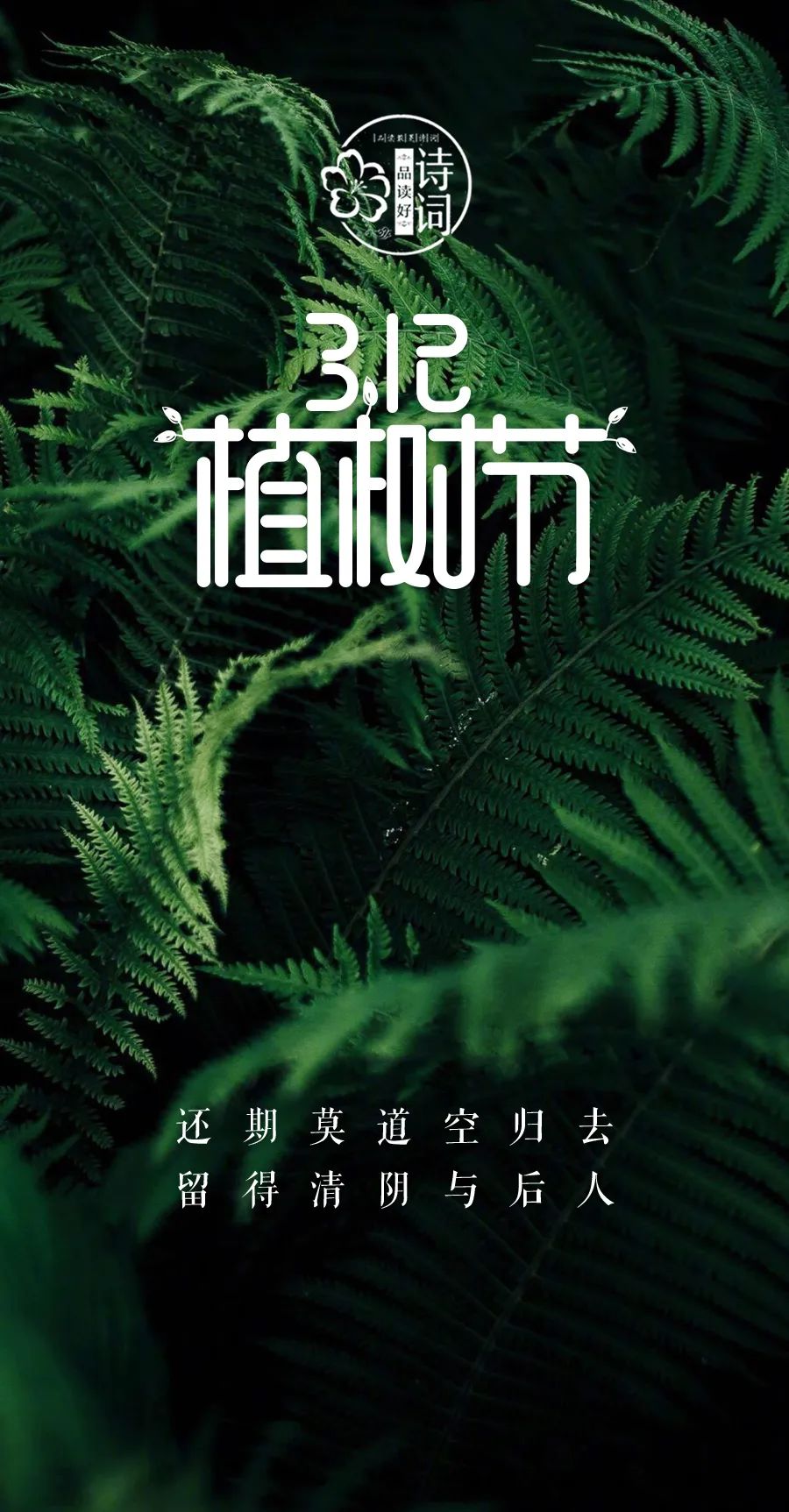 植树节活动目的及意义_植树节活动的目的和意义_植树意义节目的活动有哪些