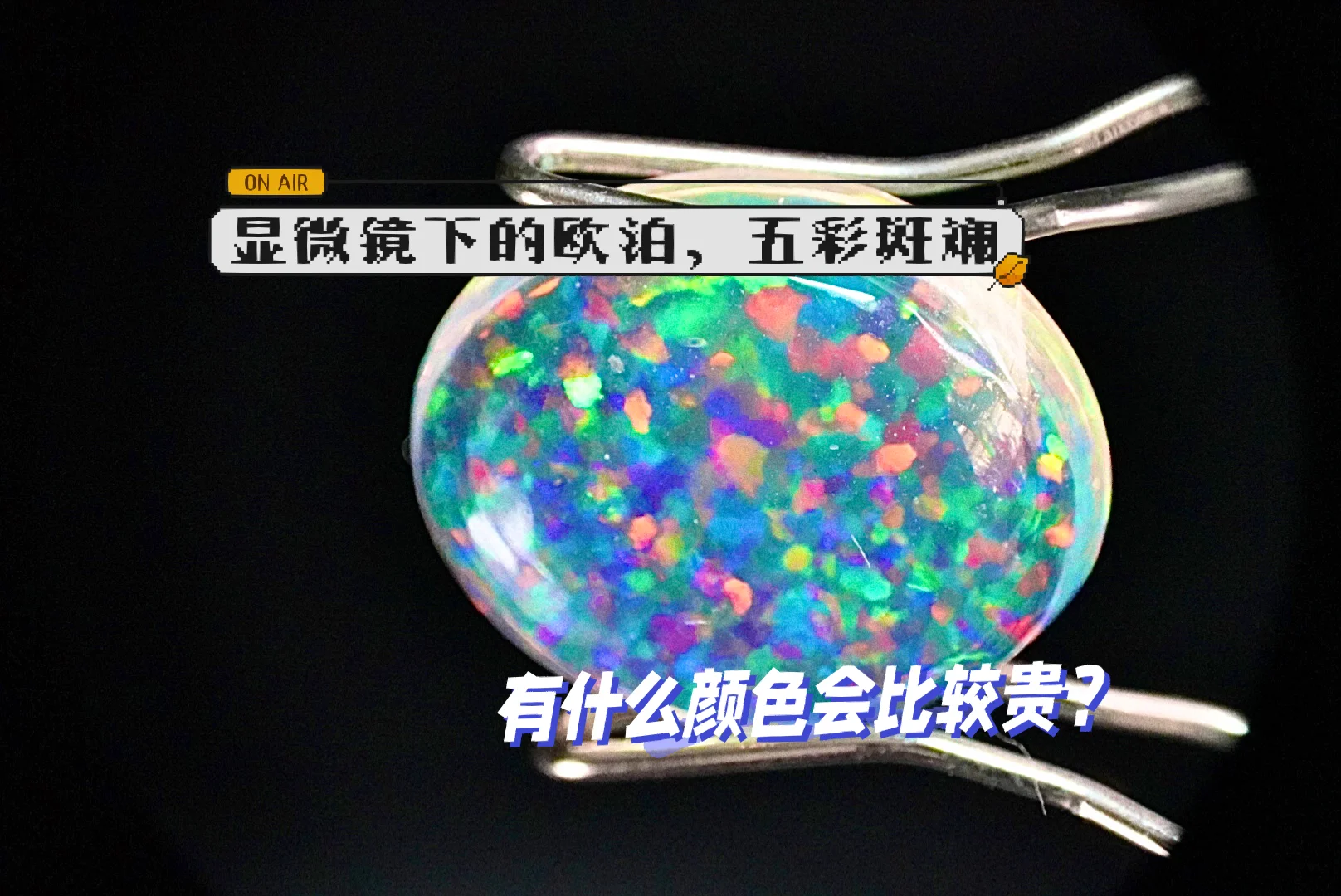 友谊爱情责任感等属于_友谊爱情的诗句_爱情与友谊