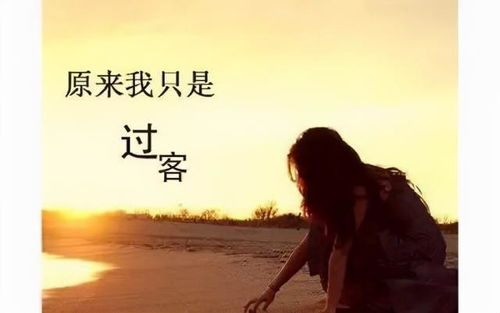 迷宫骇客美化版下载 迷宫骇客美化版下载