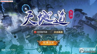 天地道游戏,打造沉浸式仙侠体验