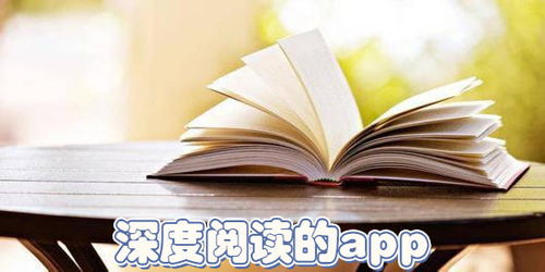 山顶阅读书源 