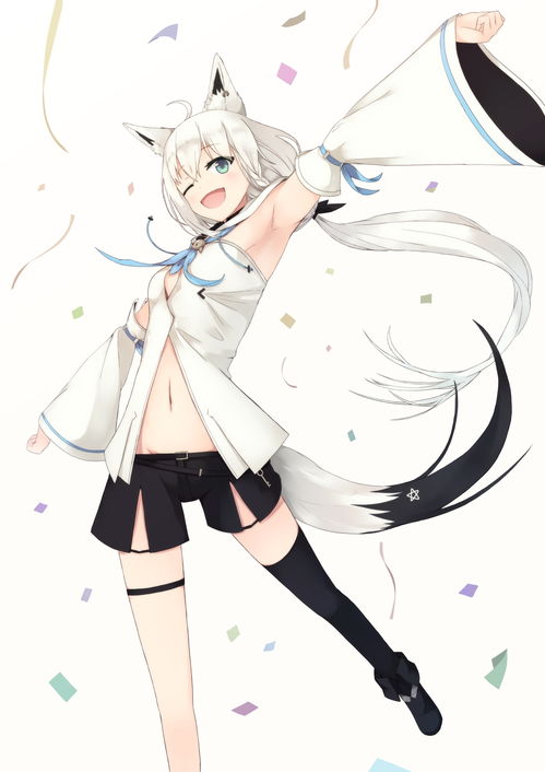 狐狸视频 