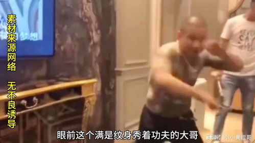 龙哥tv电视最新版下载 