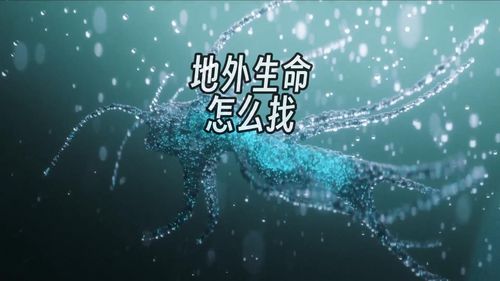 e动生命富德生命保险 