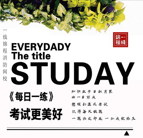 每日一文 