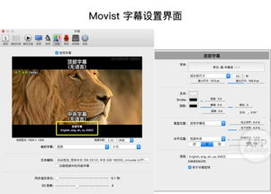 风筝视频播放器下载安装 