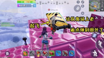 百分之一游戏 百分之一游戏