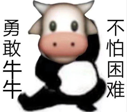 牛牛影视 牛牛影视