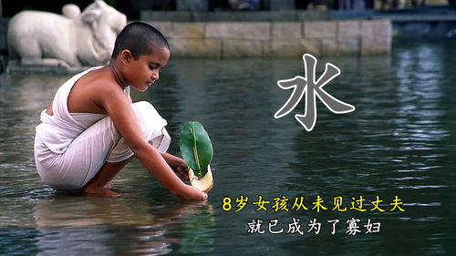 印度卡车模拟器汉化版 