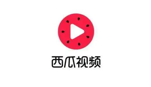西瓜视频在线免费观看 